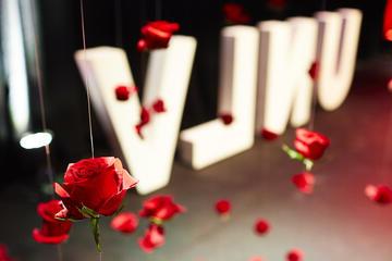 UNLV字母被玫瑰包围