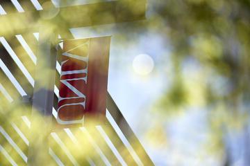 beauty photo of campus showing UNLV banner through leaves