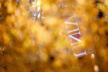 透过秋叶的UNLV标志